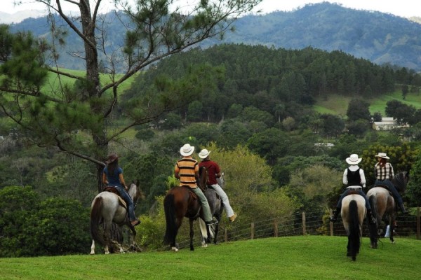 Mountain horseback riding