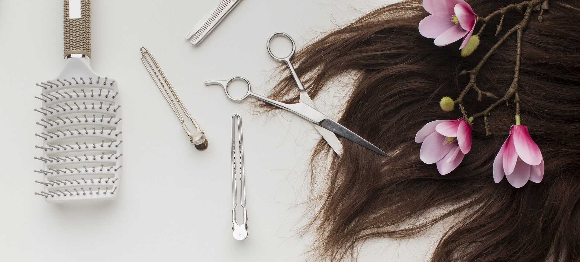 D' Aracelis salón. Venta de líneas, accesorios y más...